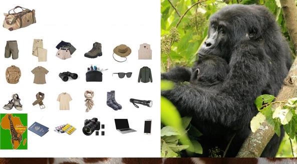 What to Pack for Gorilla Trekking Experience