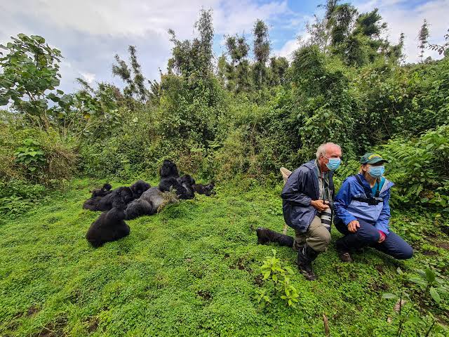 Packing Guide for Luxury Gorilla Trekking in Congo