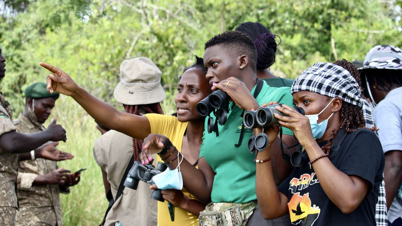 The forests of Uganda and Rwanda provide some of Africa’s most romantic settings. Surrounded by towering trees,