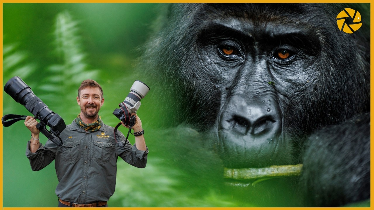 Luxury Gorilla Safari Photography Equipment
