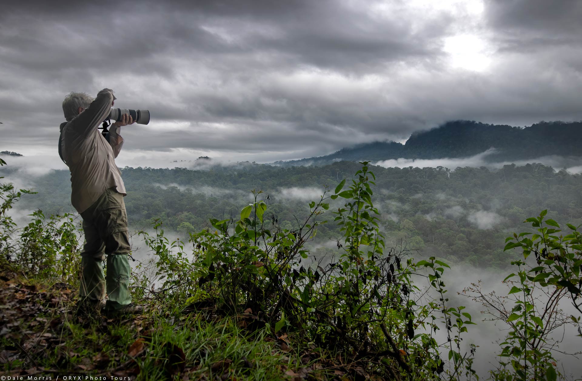 Photography enthusiasts can enjoy specialized photography expeditions designed to maximize opportunities for capturing Rwan