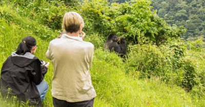 Prestigious Luxury Gorilla Safaris for Celebrities and VIPs