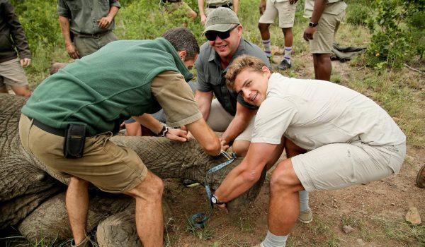Conservation-focused experiences allow travelers to go behind the scenes of wildlife