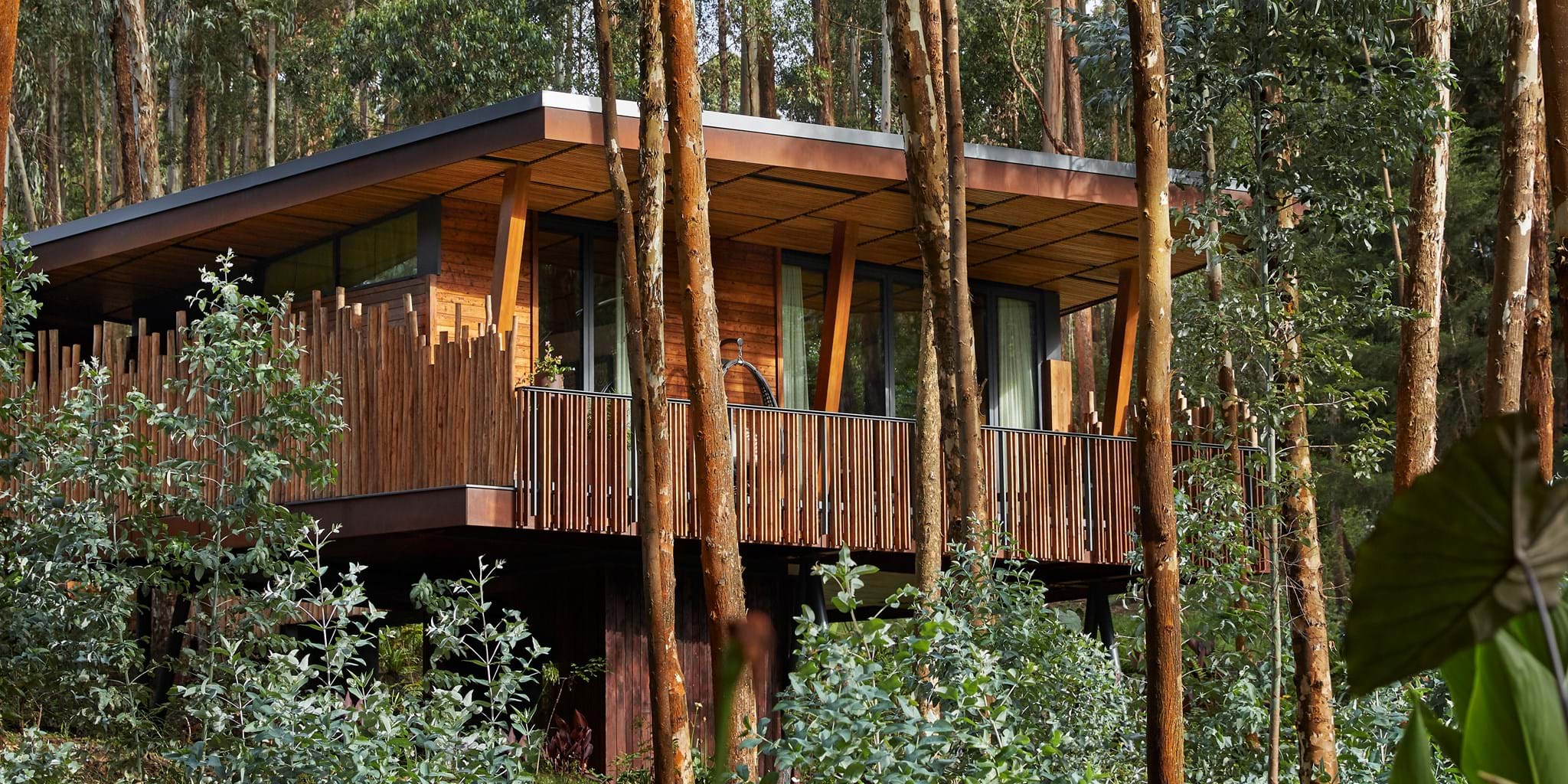 Luxury Rwanda Safari Adventures