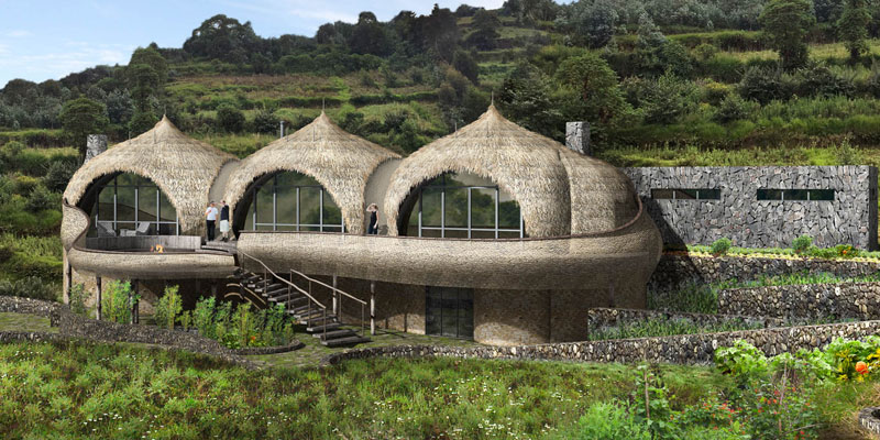 Rwanda Luxury Safari Experience
