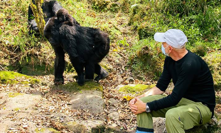 Professional Safari Planning Congo Experience