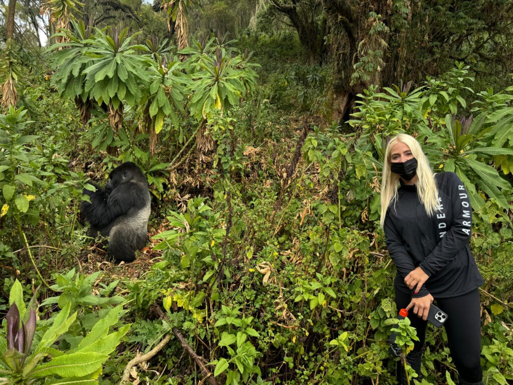 Safety Planning Nyiragongo Gorilla Safari