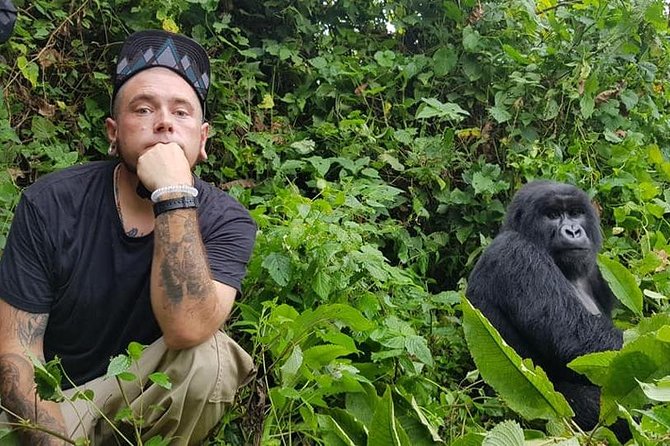 Private Luxury Gorilla Safari Experience