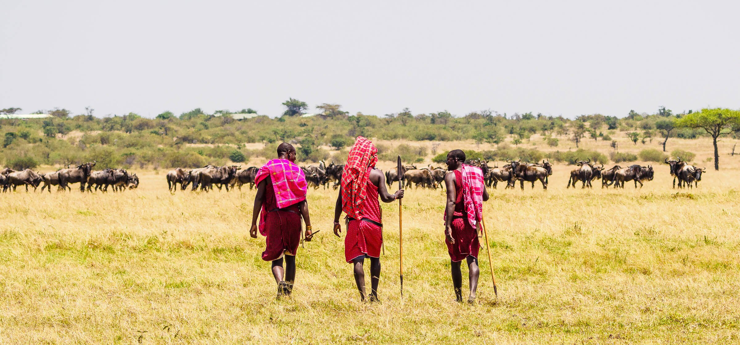 The Masai Mara