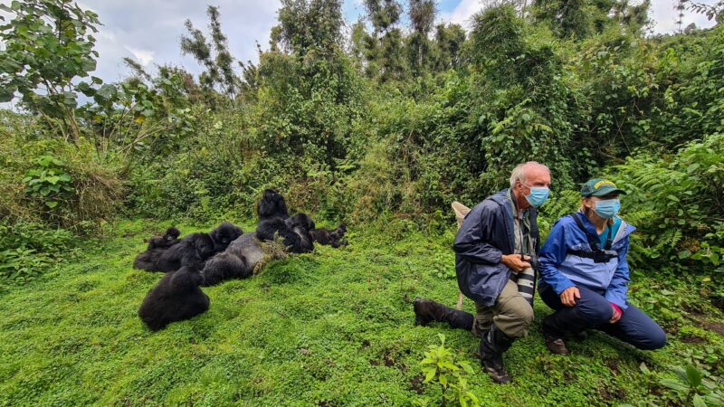 One of the most remarkable aspects of Gorilla Trekking Etiquette for Luxury Travelers is that its impact extends far beyond the few hours spent in the rainforest. Many travelers arrive expecting an exciting wildlife adventure but leave with a much deeper understanding of conservation, sustainability, and the delicate relationship between people and nature. Observing