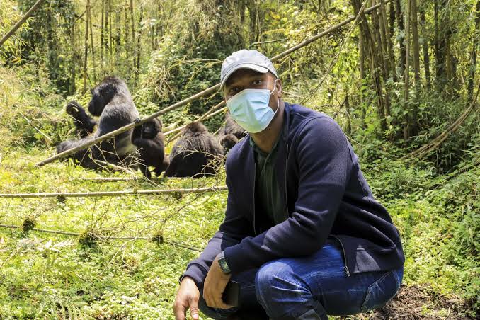 Gorilla Trekking Travel Logistics