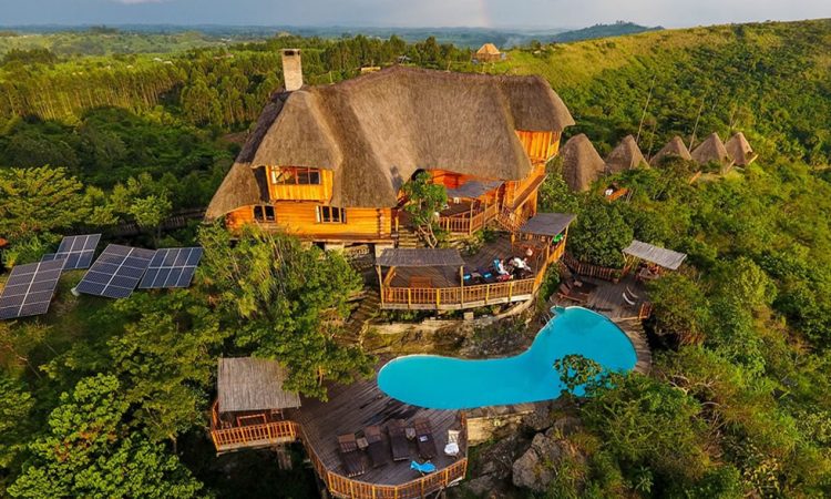 Luxury Wildlife Safari Experience in Uganda