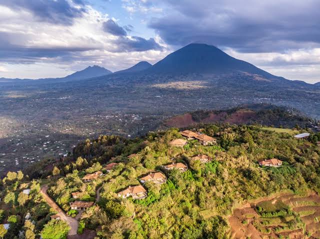 Virunga Luxury Gorilla Trekking Experience
