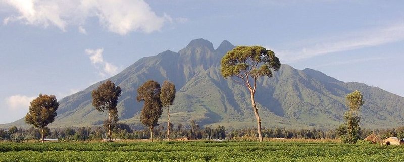Volcanoes National Park is widely considered one of the most accessible gorilla trekking destinations in Africa and is especially popular for Luxury Gorilla Trekking for Seniors with Porters. Located 
