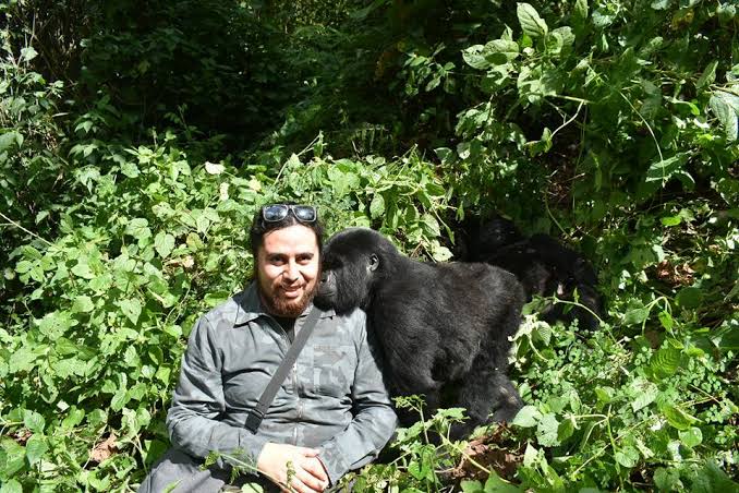 Best Time for Luxury Gorilla Safaris