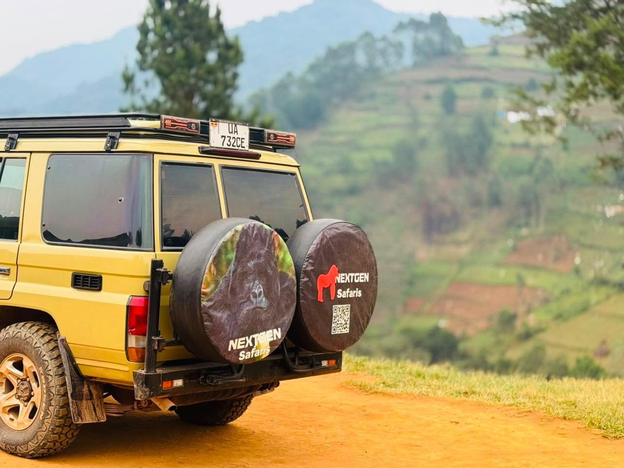 Uganda Luxury Gorilla Safari Experience