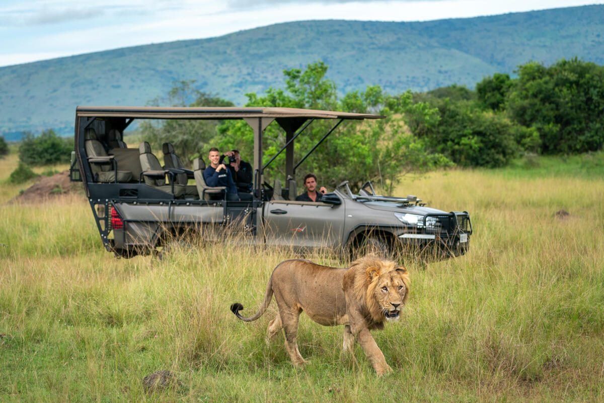 Planning Your Luxury Christmas Safari in Rwanda