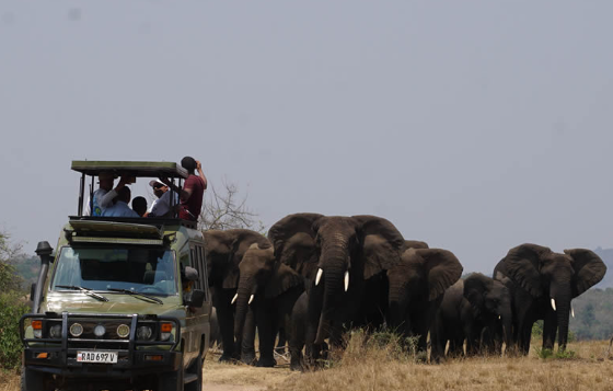 10 Days Luxury Rwanda Gorilla Trekking & Complete Rwanda Safari