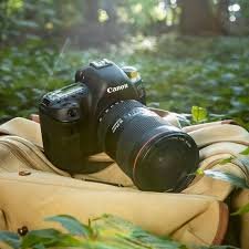 What Should You Pack for a Luxury Gorilla Trekking Safari in Uganda?