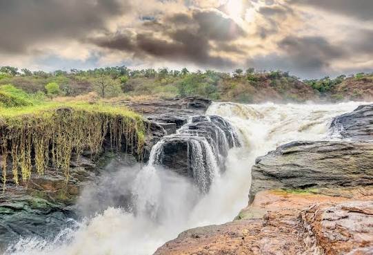 Can Luxury Gorilla Trekking in Uganda Be Combined with a Wildlife Safari? Murchison Falls National Park safari