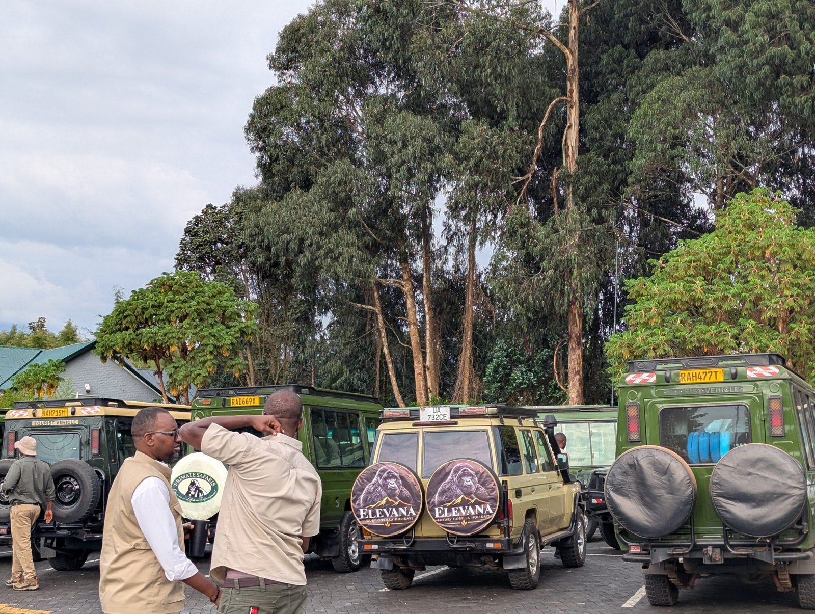 Best Guide to Planning Your Luxury Rwanda Gorilla Safari in 2027/2028