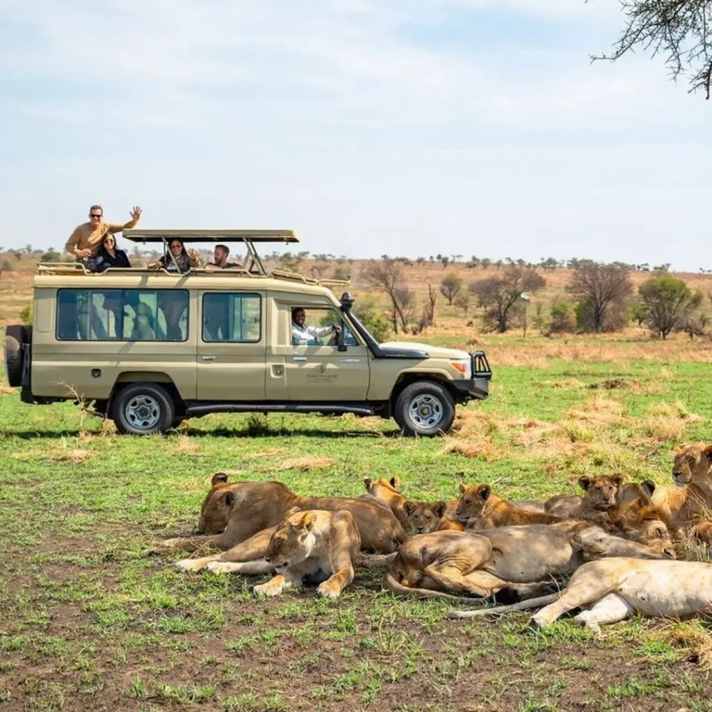 Can Luxury Gorilla Trekking in Uganda Be Combined with a Wildlife Safari? Queen Elizabeth National Park wildlife safari